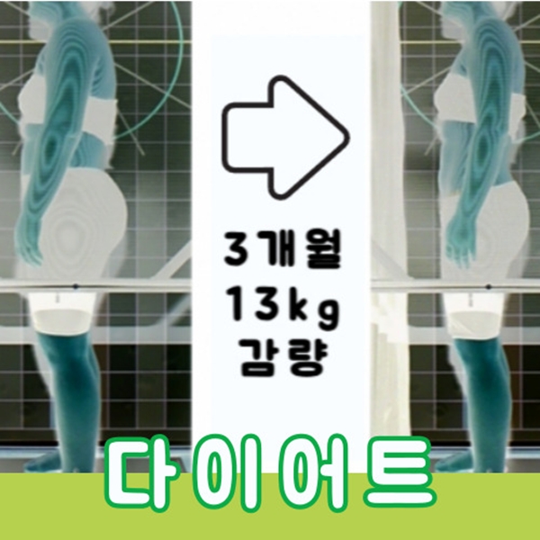 다이어트도 하늘나무한의원